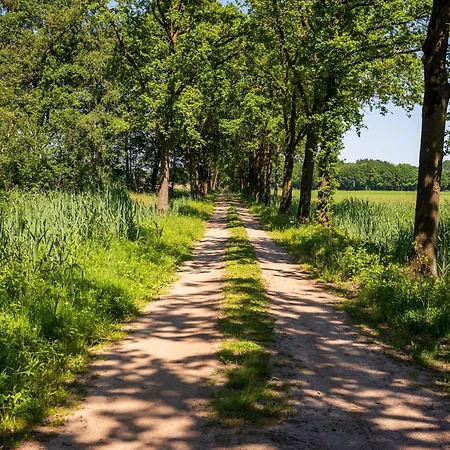 Country With Shared Pool Someren-Heide